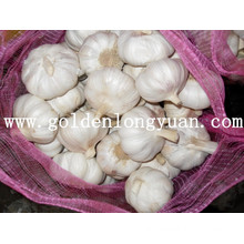 Fresh Garlic with Competitive Price From Factory